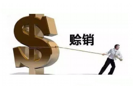 五莲五莲的要账公司在催收过程中的策略和技巧有哪些？